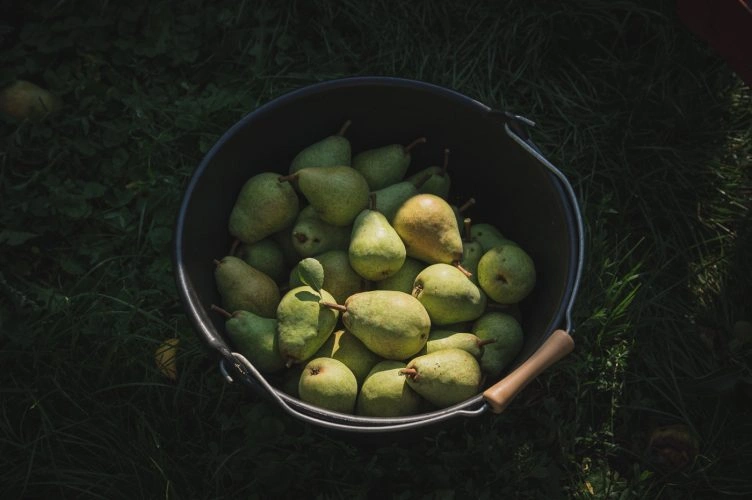La boutique est ouverte