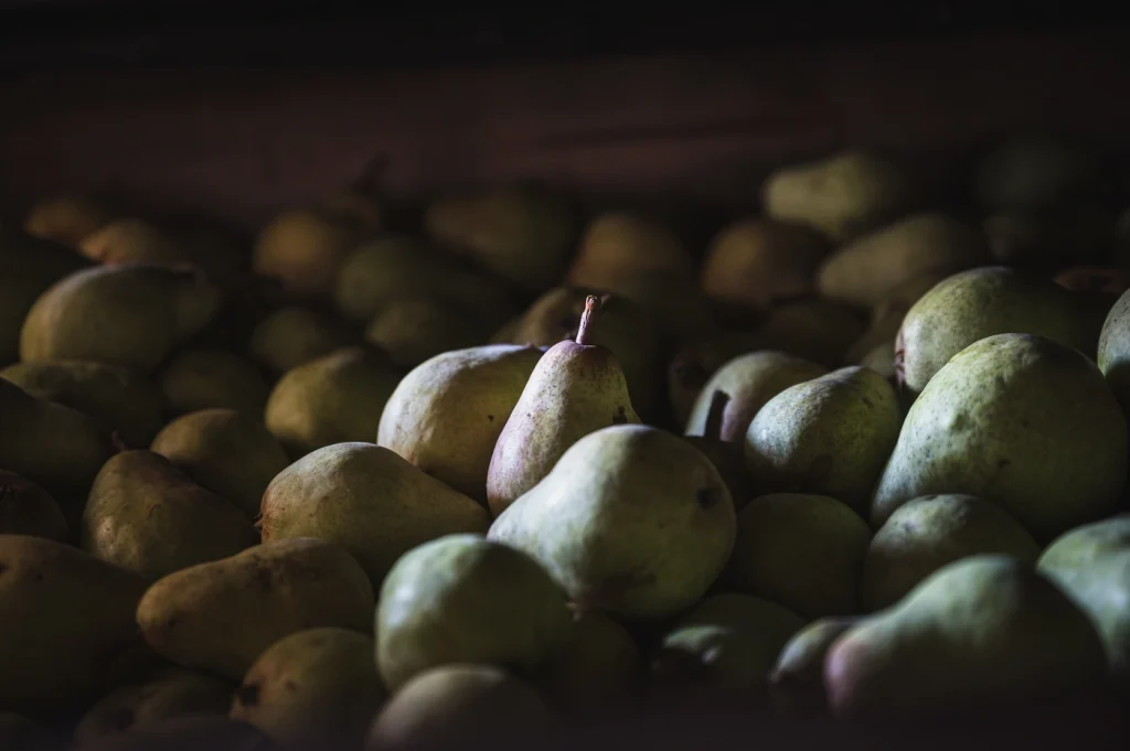 La Quetsch d’Alsace : focus