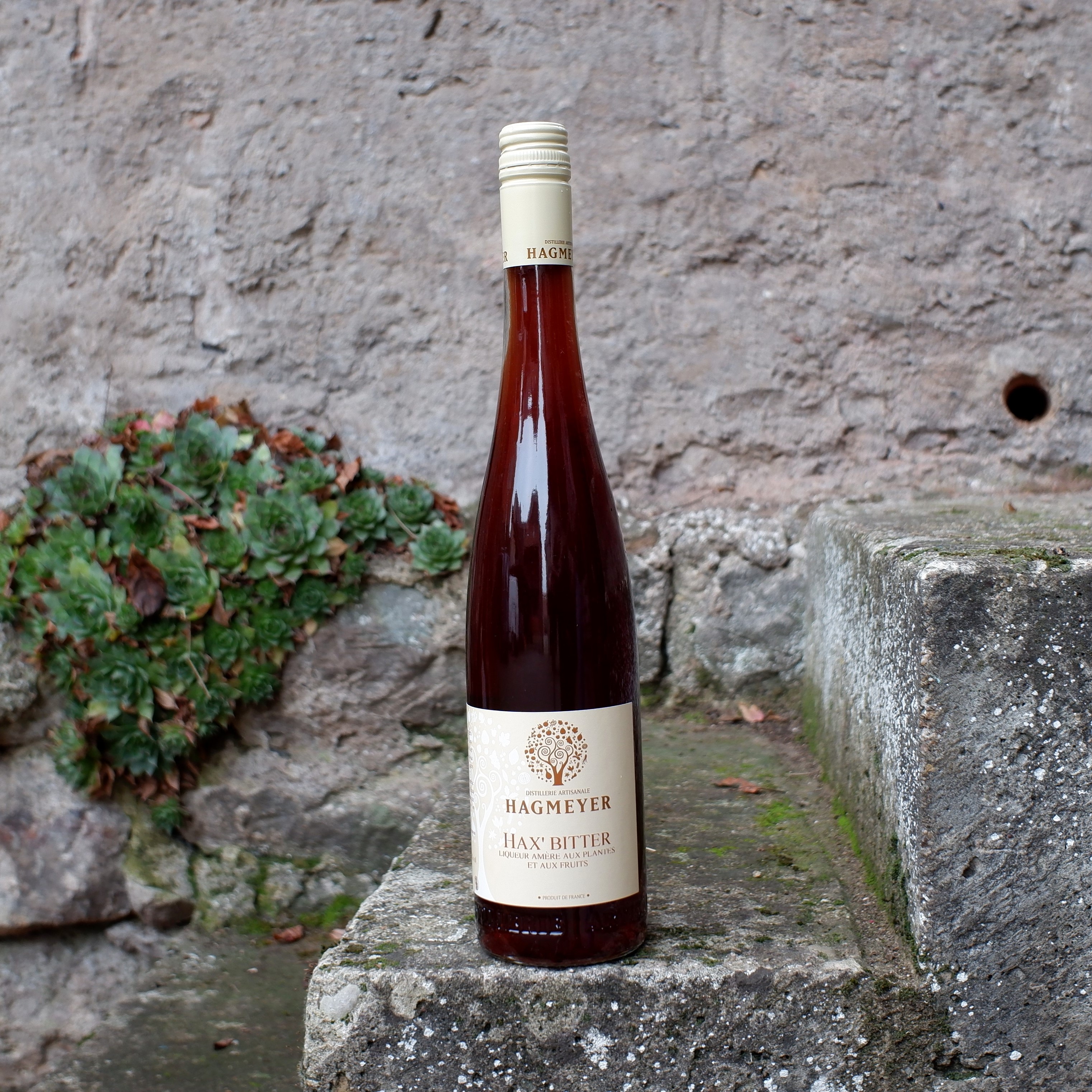 Hax' Bitter - liqueur amère