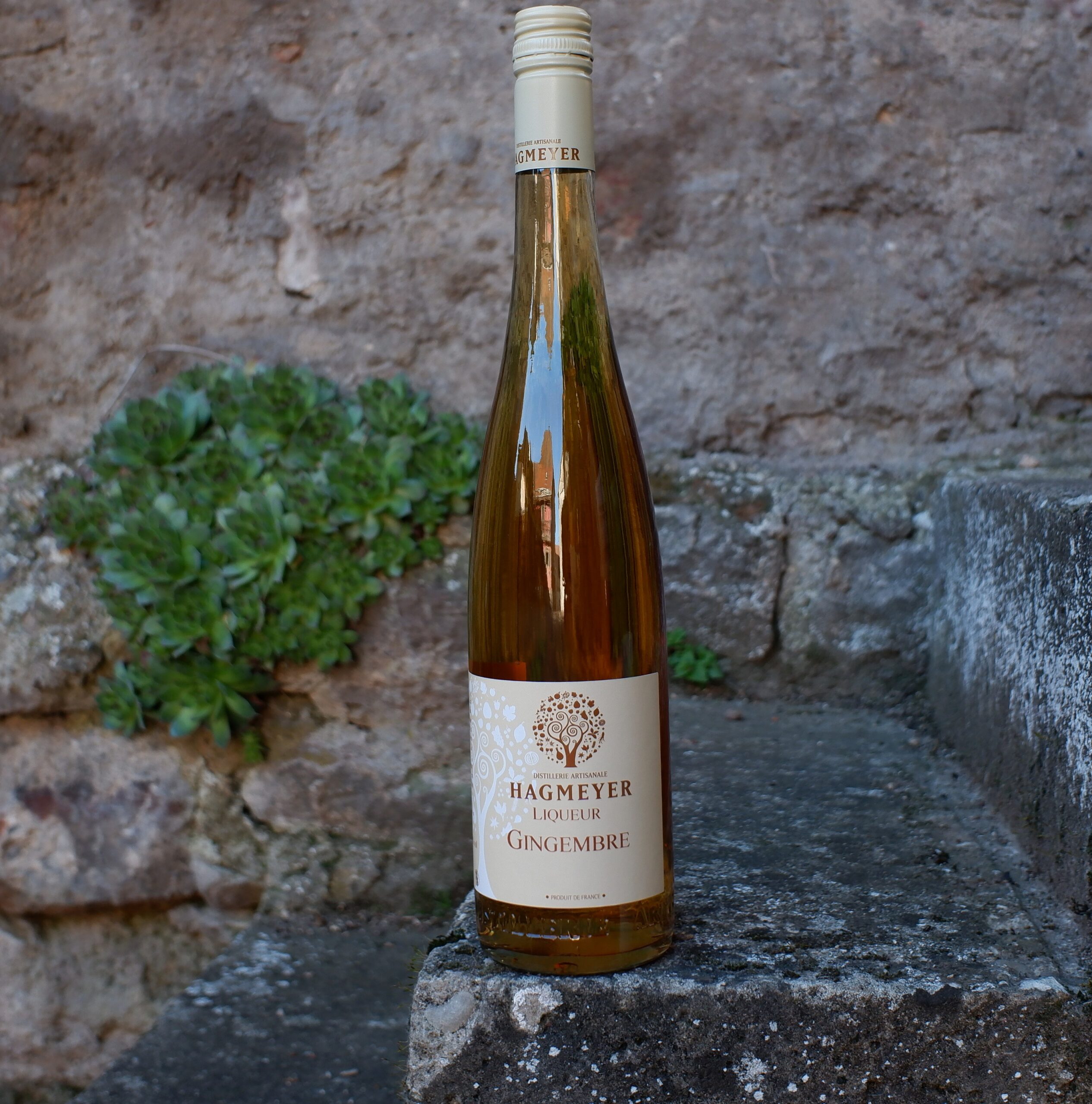 Liqueur de Gingembre