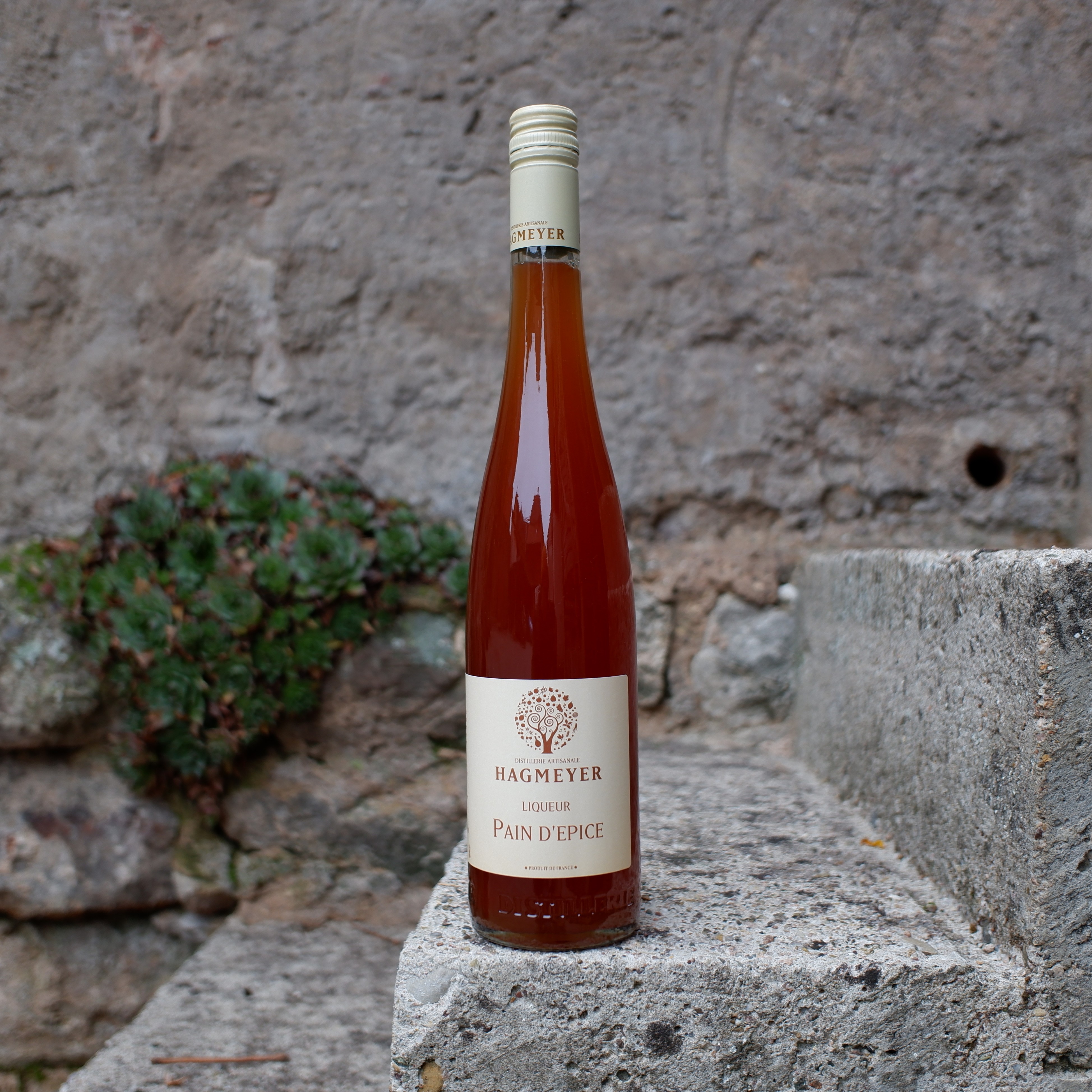 Liqueur de Pain d&rsquo;épice