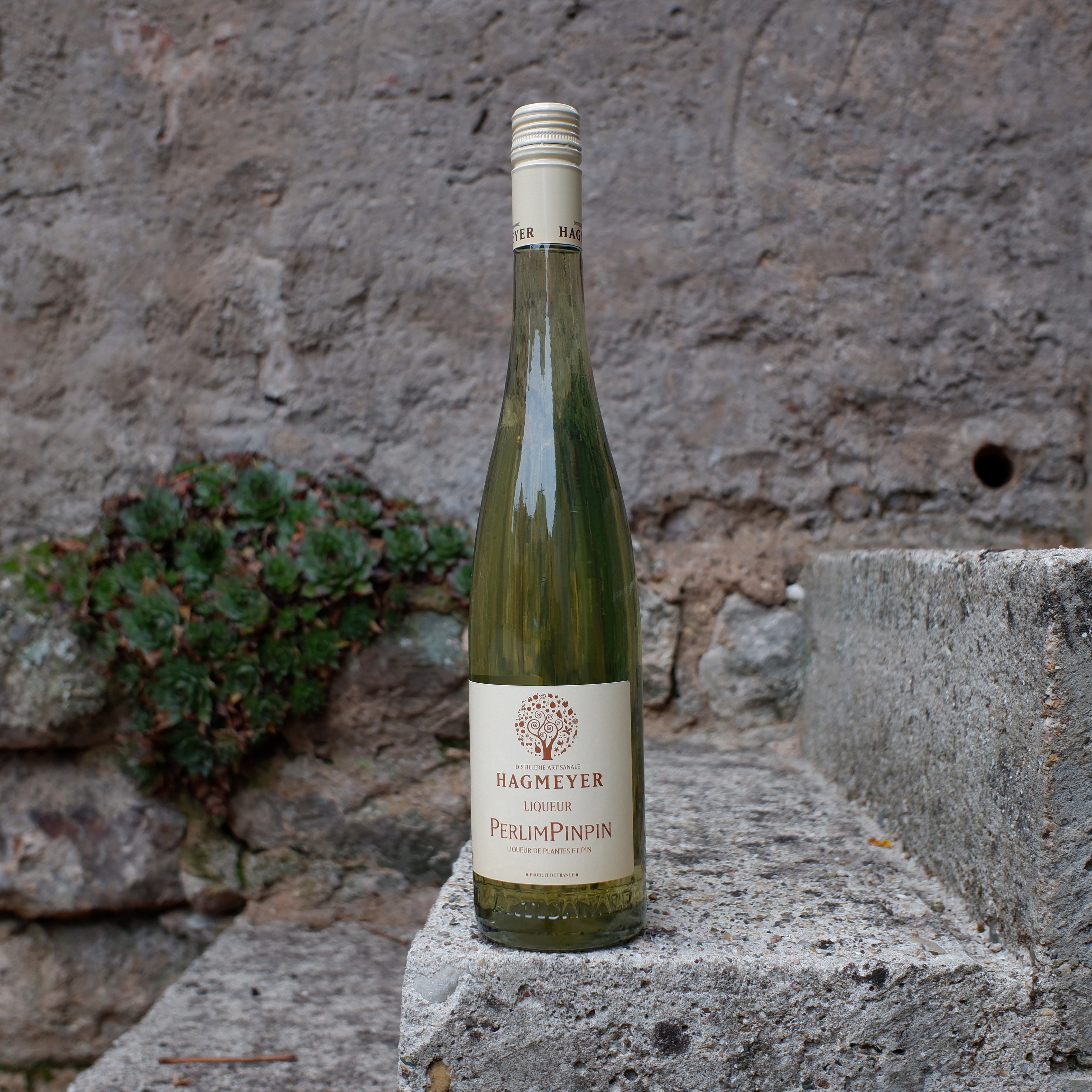 PerlimPinpin - liqueur de plantes et pin