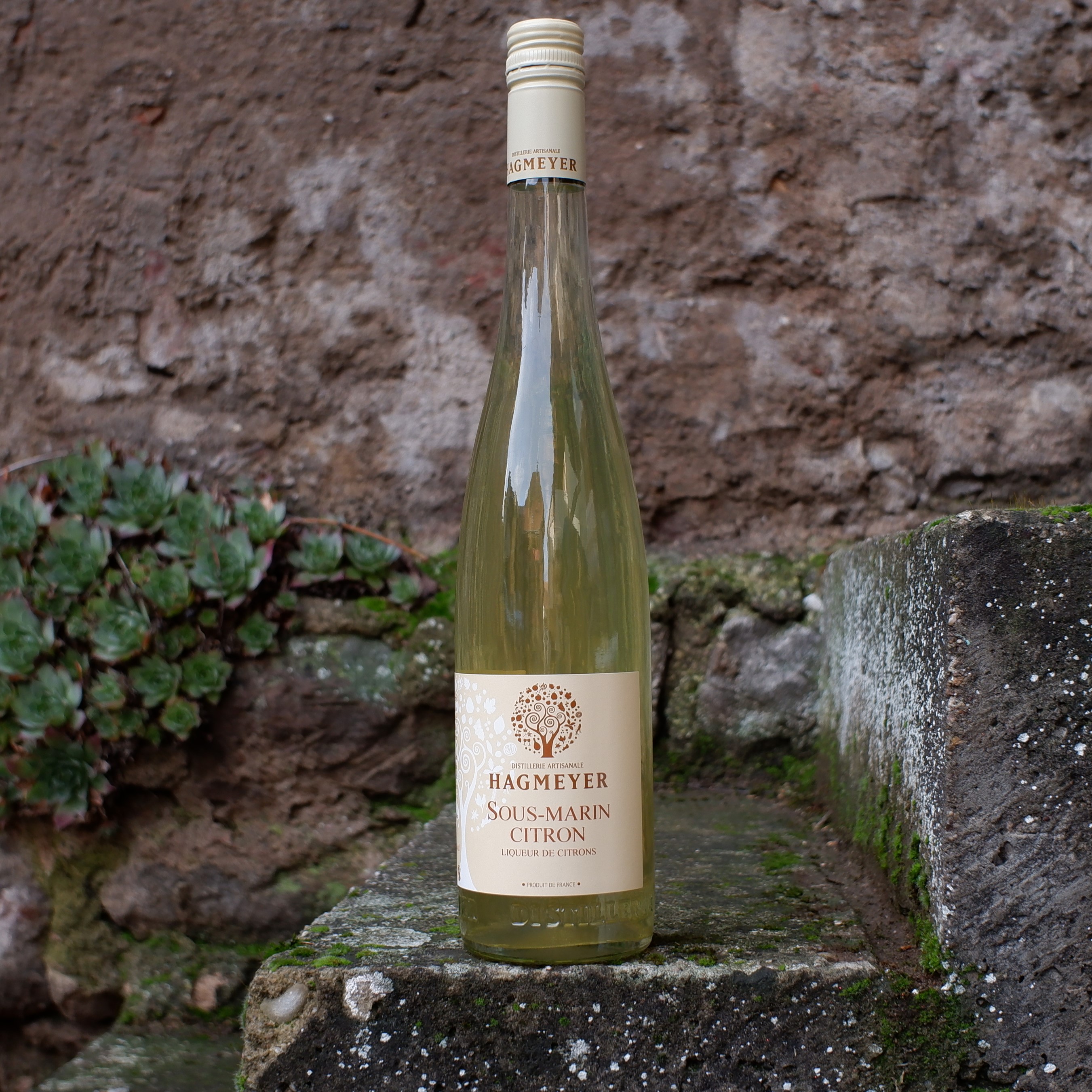 Sous-marin Citron - liqueur de citrons