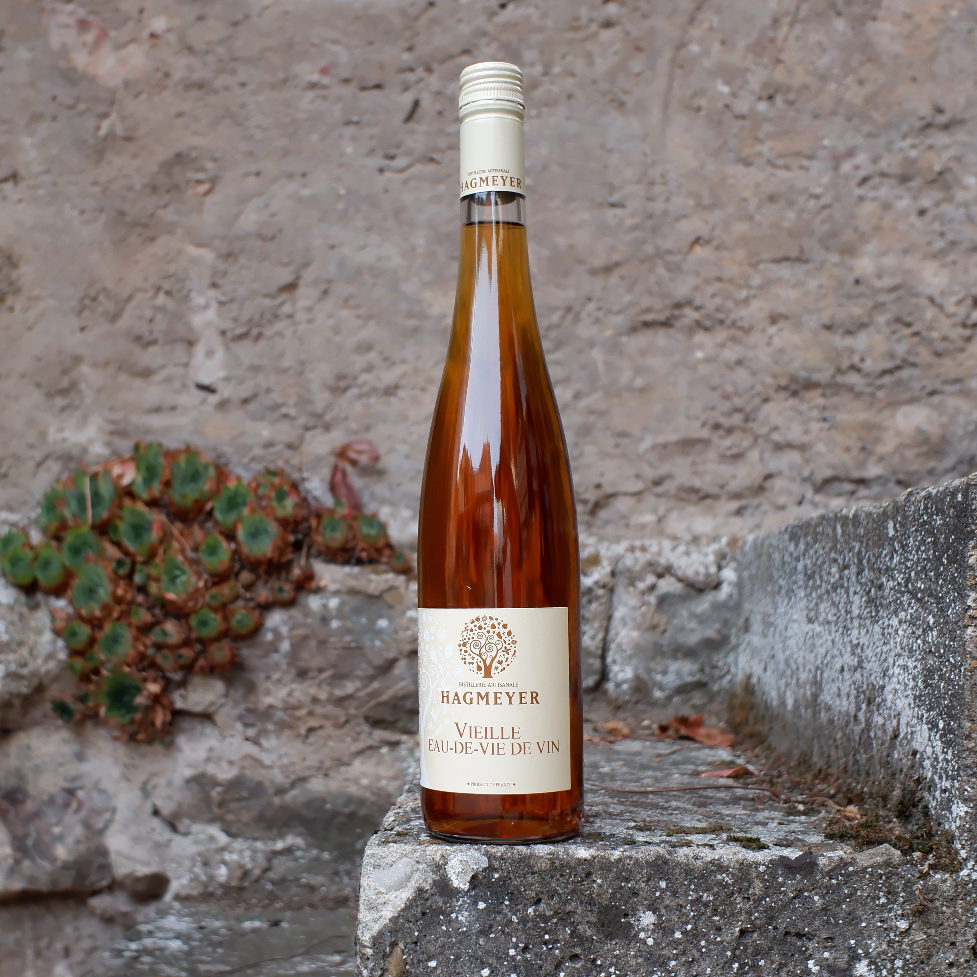 Vieille eau-de-vie de Vin