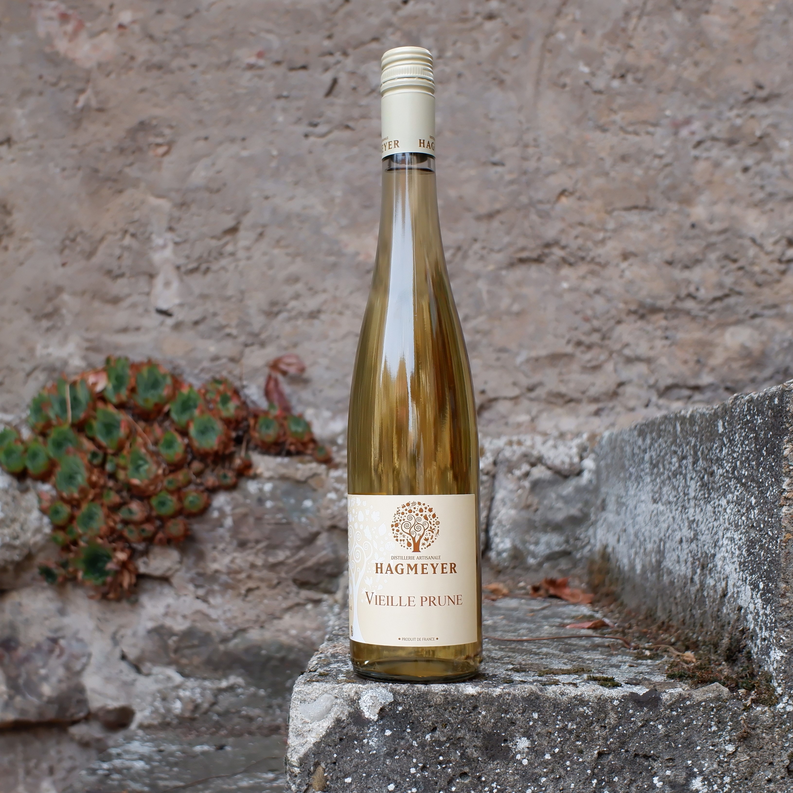 Vieille Prune